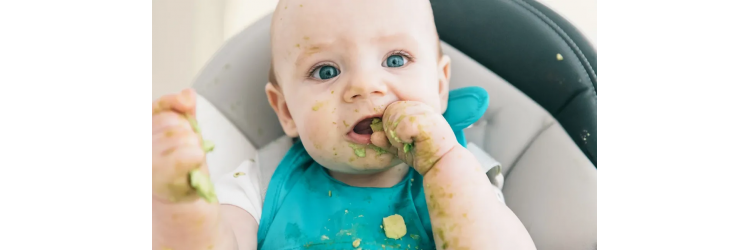Ek Gıdaya Geçiş: İlk Adımlar ve Püf Noktaları
